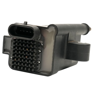 סליל הצתה באיכות גבוהה אוי 300-879984t01, 300-8m0077471, <span class=keywords><strong>339</strong></span>-879984t00 עבור רכב גז חלקי רכב אחרים