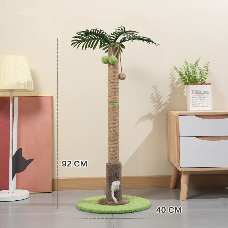 Cocotero verde XL