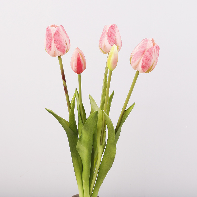 Bouquet de tulipes (rose)