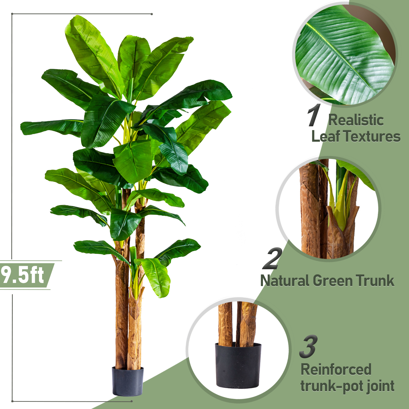 Banana Tree 9.5ft Green