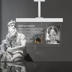 LAYSON пользовательский 30/55 дюймов сенсорный экран Полноцветный прозрачный экран ooled прозрачный экран для рекламы - Product Image 1