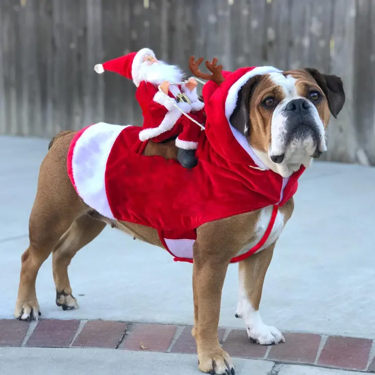 Vendita Calda Vestiti Del Cane Di Natale Warm Pet Vestiti Del Cane