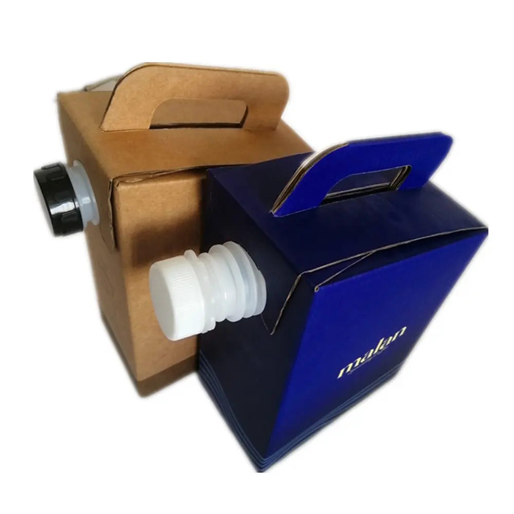 Stampa personalizzata monouso sacchetto di cartone in scatola di cartone con borsa e valvola all'interno personalizzabile
