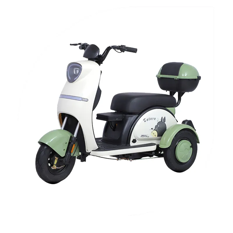 Paige Tricycle électrique moto cargo vente directe d'usine tricycle motorisé pour adultes chaud 60v 800w 3 roues 300cc passager