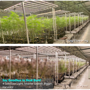 Tiết kiệm vận chuyển hàng hóa 600 wát LED Grow ánh sáng với lm301h EVO UV IR điều khiển độc lập 3-kênh mờ có thể điều chỉnh quang phổ cho nhà kính - Product Image 6