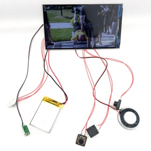 Индивидуальный 5-дюймовый модуль Tft Lcd 16:9 дисплей Tft Модуль для видео брошюры карты - Product Image 3