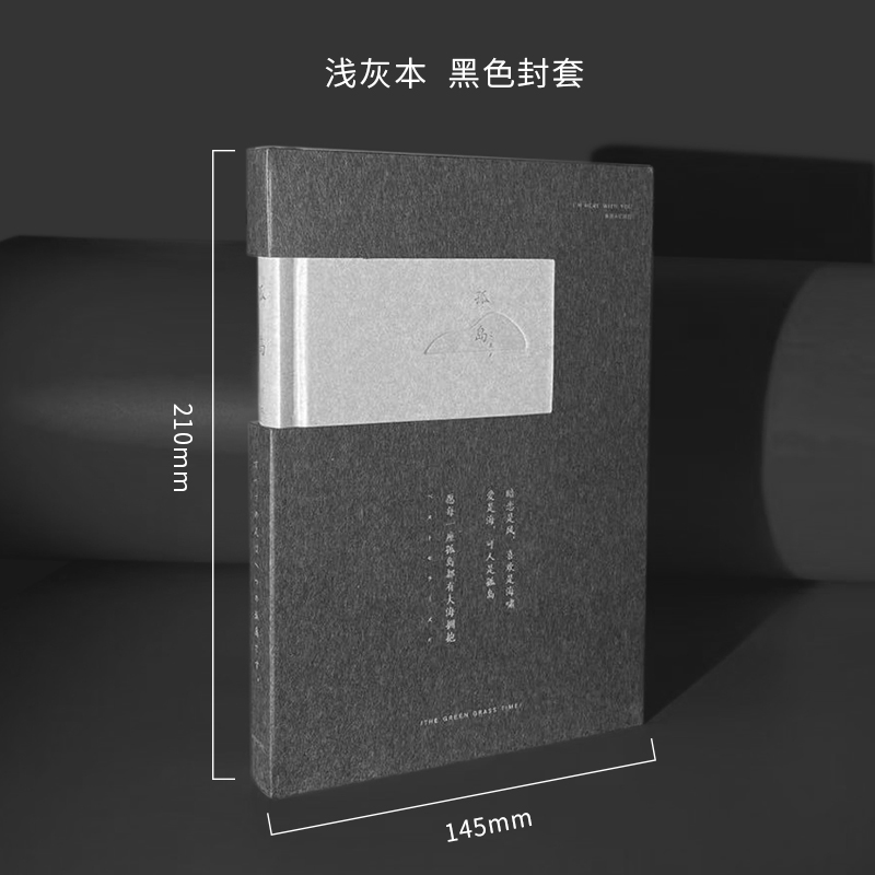 Light gray book black Cover