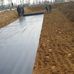 Artificial Lakes <strong>HDPE</strong> Pond Liner 2mm <strong>HDPE</strong> Geomembrane - Product Image 5