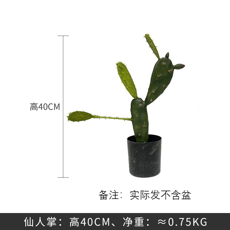 Cactus-40 cm sin maceta