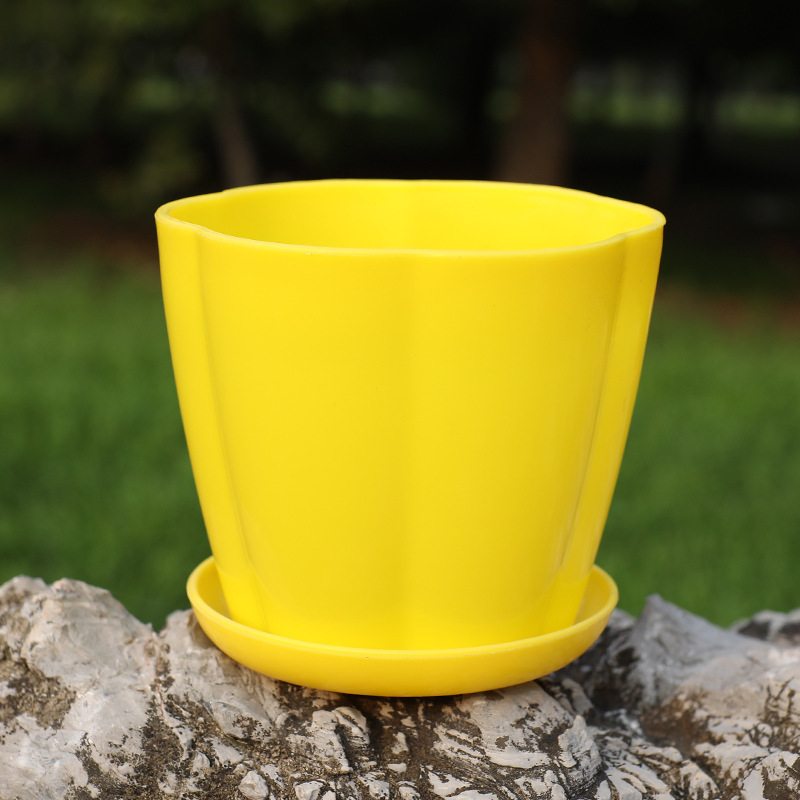 Pot à pétales épaissi : plateau jaune