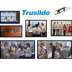 Truslide <strong>Linear</strong> Guide 30mm to 1500mm Guide <strong>Rail</strong> Miniature <strong>Linear</strong> Guide <strong>Rail</strong> - Product Image 4