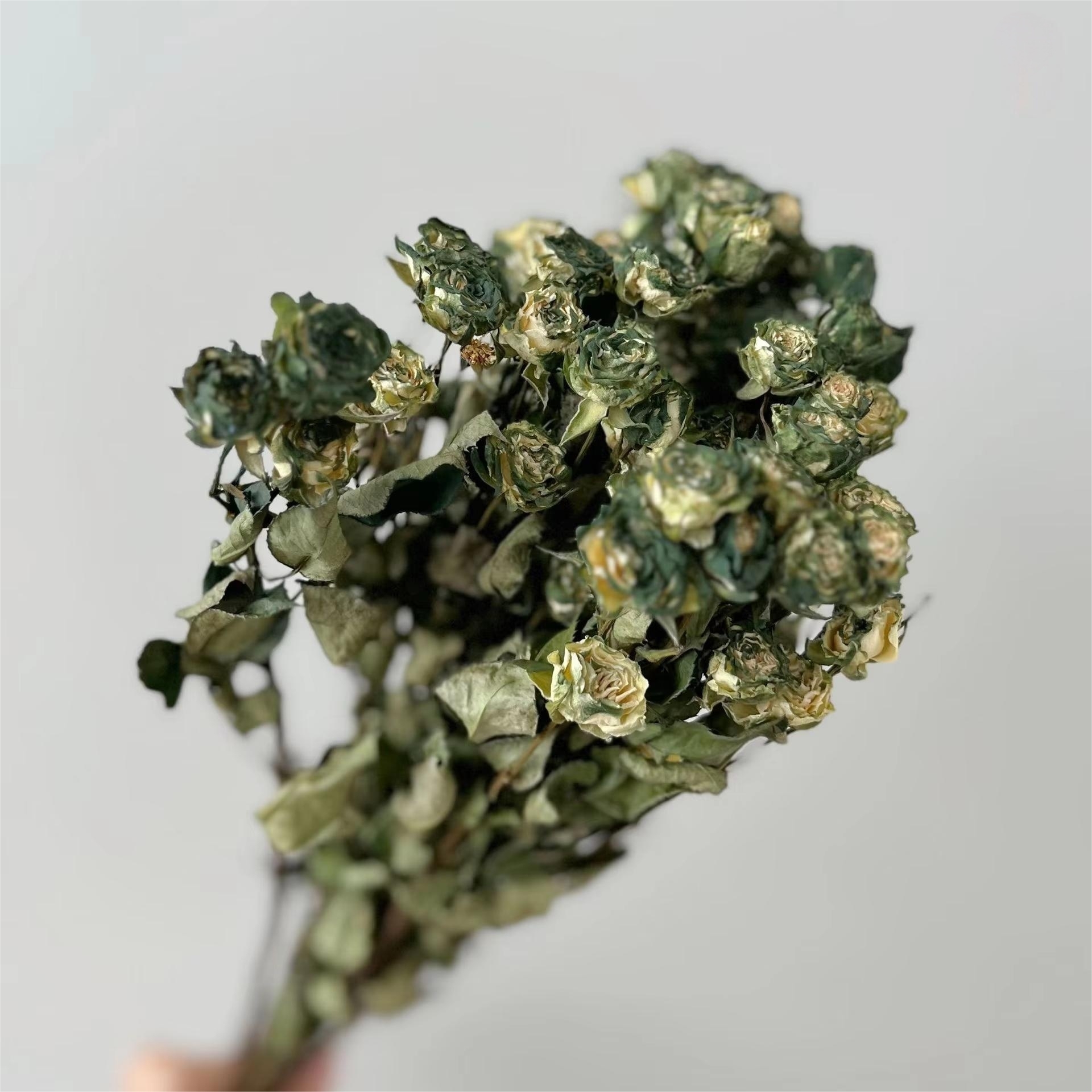 Multi-têtes vert foncé-10 têtes de fleurs-15cm