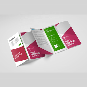 Three Fold Color Page Printing of Product User Manual, Making Brochures, Brochures, Sample <strong>Booklets</strong> - Product Image 5