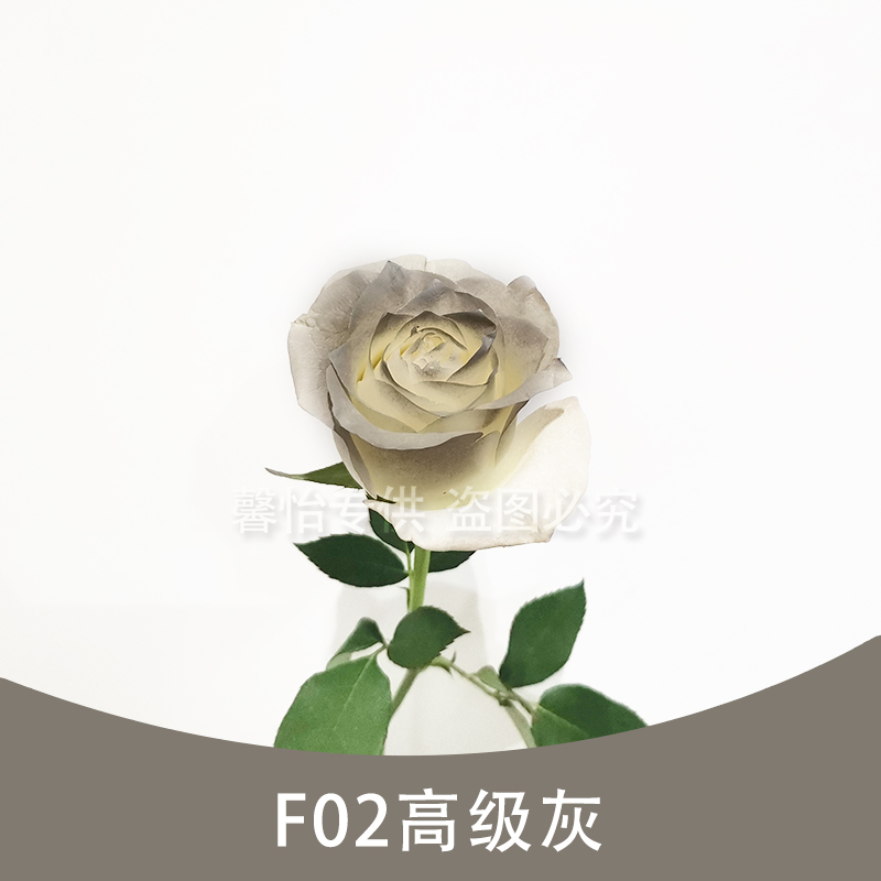 F02 light gray