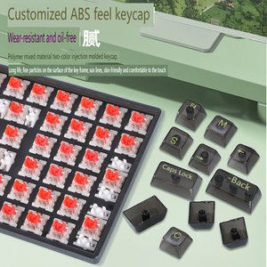 销售高品质K10 100键RGB透明机械游戏键盘的制造商支持oem/odm。 - Product Image 4
