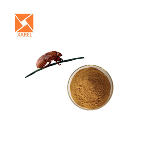Ücretsiz örnek Periostracum Cicadae özü su Souble Cicada kabuk tozu Cicada sdae özü - Product Image 3