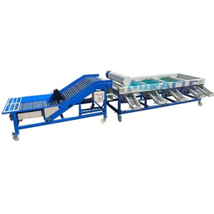 Máquina clasificadora rotativa de tambor automático, máquina clasificadora de clasificación de tamaño de ajo, máquina clasificadora de tamaño de ajo