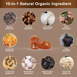 Vitadiscovery nootropic não bổ sung sư tử bờm 10 trong 1 nấm Gummies cho tăng cường tập trung và bộ nhớ - Product Image 3