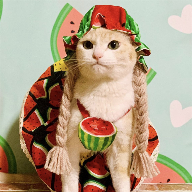 Sombrero de trenza de sandía