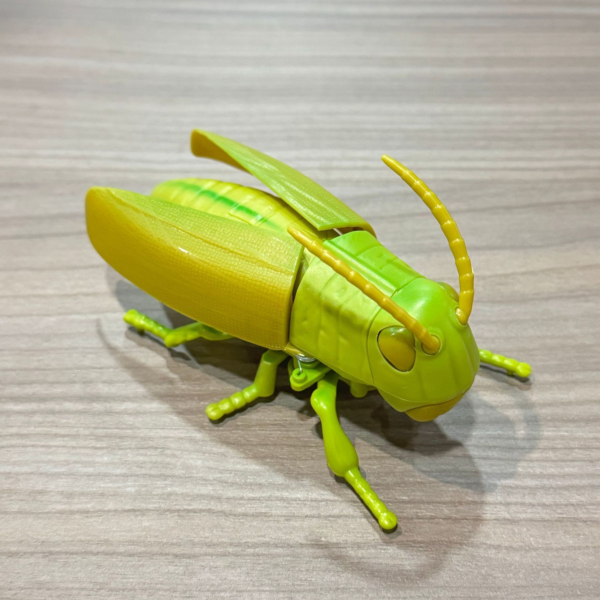 Chain on grasshopper locust-emerald green