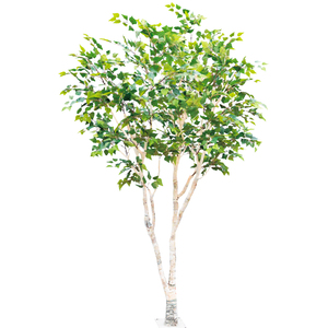 人工白白バーチ人工木工場手作りフェイクバーチ装飾用 - Product Image 3