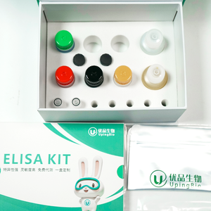 İnsan histocompatibility kompleks sınıf i-İlgili gen B (MICB) elisa seti - Product Image 4