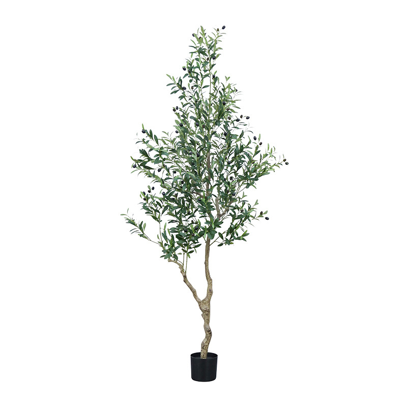 Vert 210cm