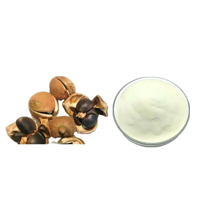 Pó natural de saponina em chá extrato de sementes de árvore de chá CAS 11006-75-0