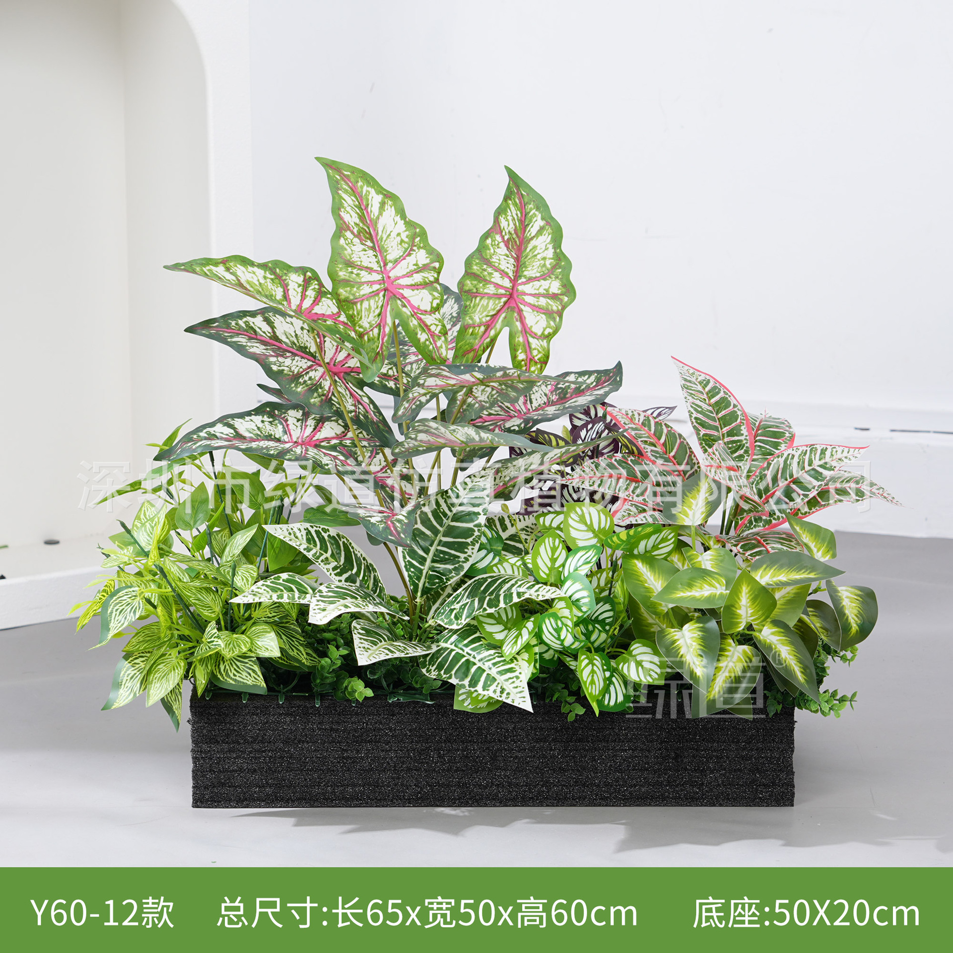 hc-Y60-12 convient aux jardinières de 60 cm