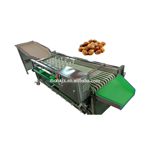Máquina clasificadora de fechas automática | Precio de la máquina clasificadora de azufaifo de clasificación de fecha de palma - Product Image 3