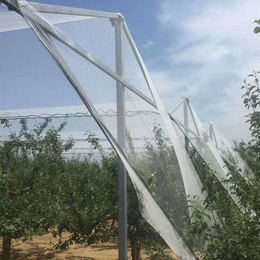 <strong>HDPE</strong> with UV White Color Anti Hail <strong>Net</strong> - Product Image 5