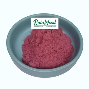 Poudre de framboise Rainwood Supply en gros 100% poudre de fruit de framboise biologique naturelle soluble dans l'eau - Product Image 1