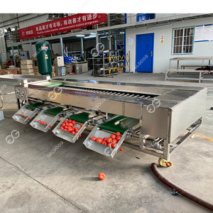<strong>Cucumber</strong> <strong>Sorting</strong> and Packing <strong>Machine</strong> Long Vegetable Length Grader <strong>Machine</strong> 5Mt/H Vegetable Grader for Sale