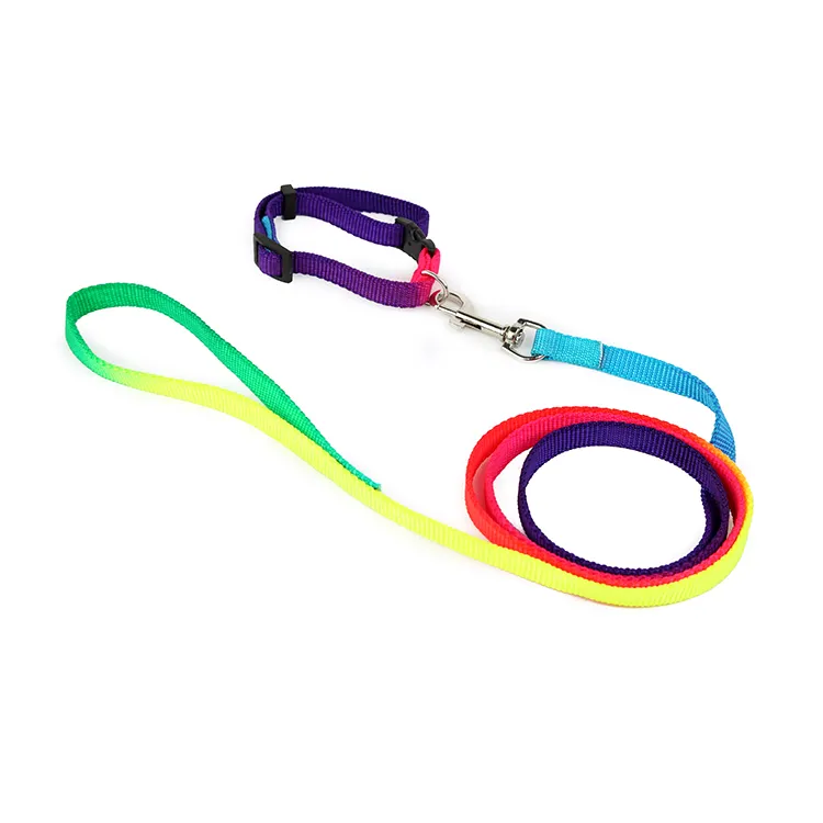 Modern Style Unique Design Rainbow Easy Use Dog Collar Leash, Retractable Dog Leash