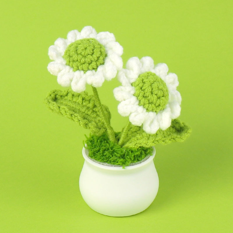 Finished light green 2 Daisy potted plants