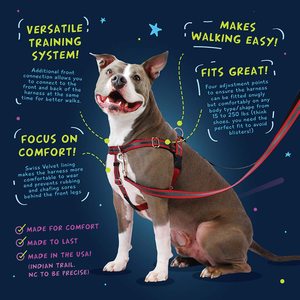 尼宝2猎犬设计自由无拉狗背带可调轻柔舒适控制轻松遛狗 - Product Image 5