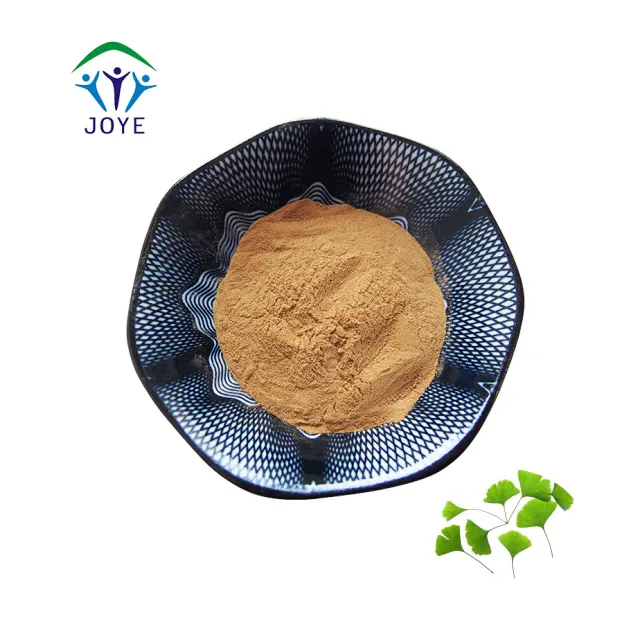 Estratto di Ginkgo Biloba 100%, estratto di foglie di Ginkgo polvere, Ginkgo Biloba cibo in polvere estratto di erbe biologico selvatico 1 kg/Bag 25kg/tamburo