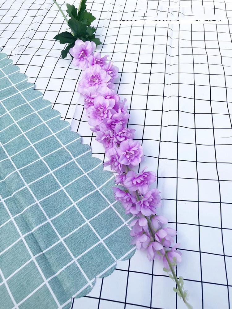 Delphinium
