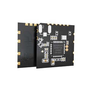 2.4G Wifiアクセスポイントモジュールポイントツーポイント長距離Wifiモジュール - Product Image 5