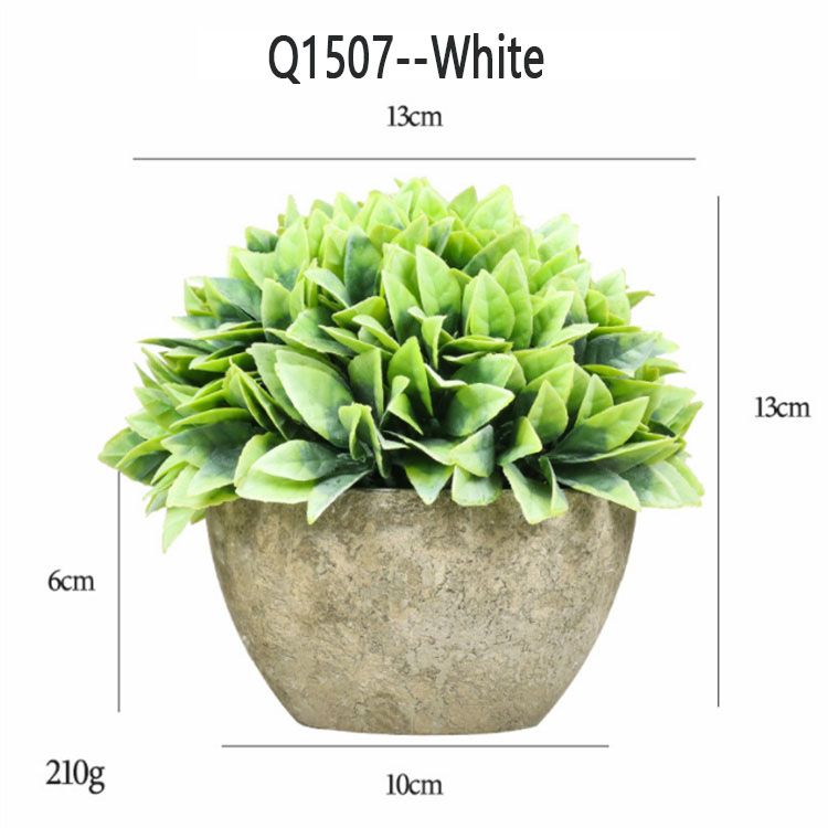 Q1507 -- blanc