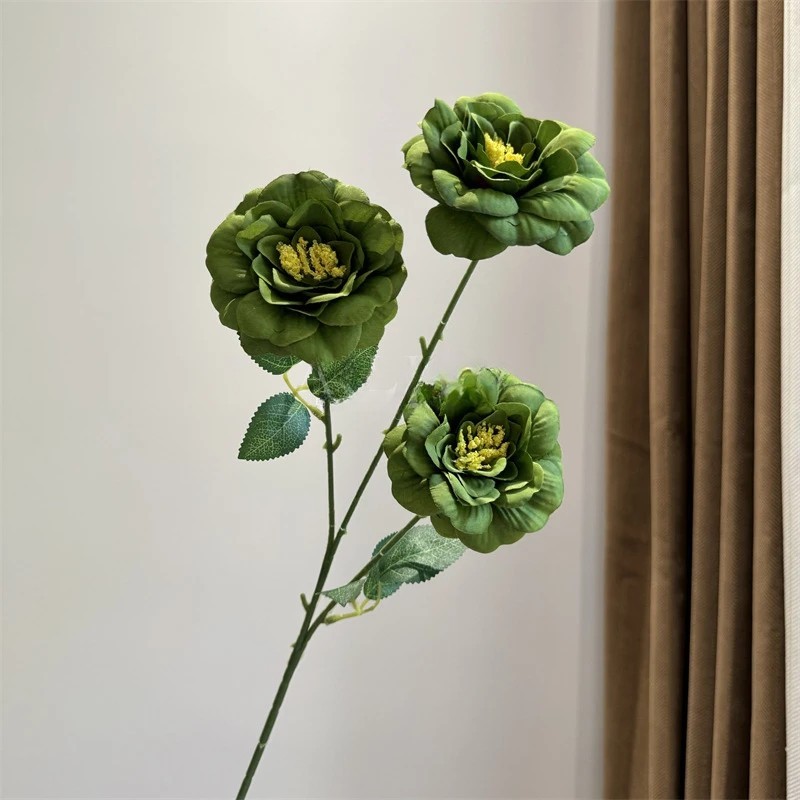 #5สีเขียว