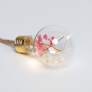 Battery Operated <strong>LED</strong> Lights <strong>LED</strong> fairy String Lightchain with Plastic Bulb Dry Flower - Product Image 3