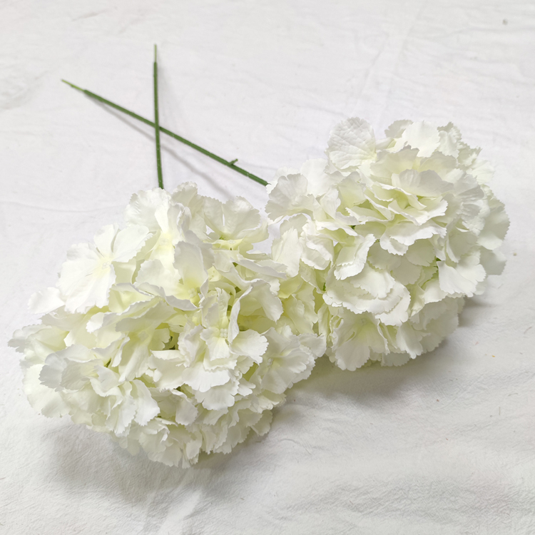 #1White
