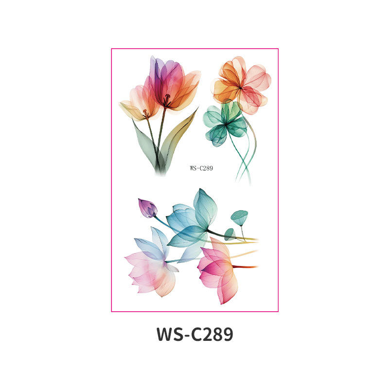 WS-C289