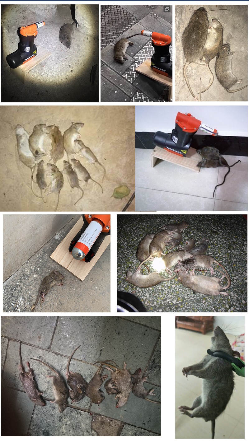 hot sale gas pressure automatic intelligent mouse control trap gas pest control traps Rat & Mouse Trap humane rat killer