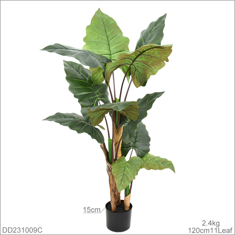 120 cm(47.24in)
