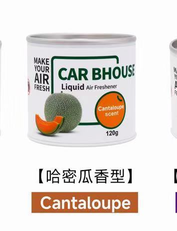 Melon cantaloupe