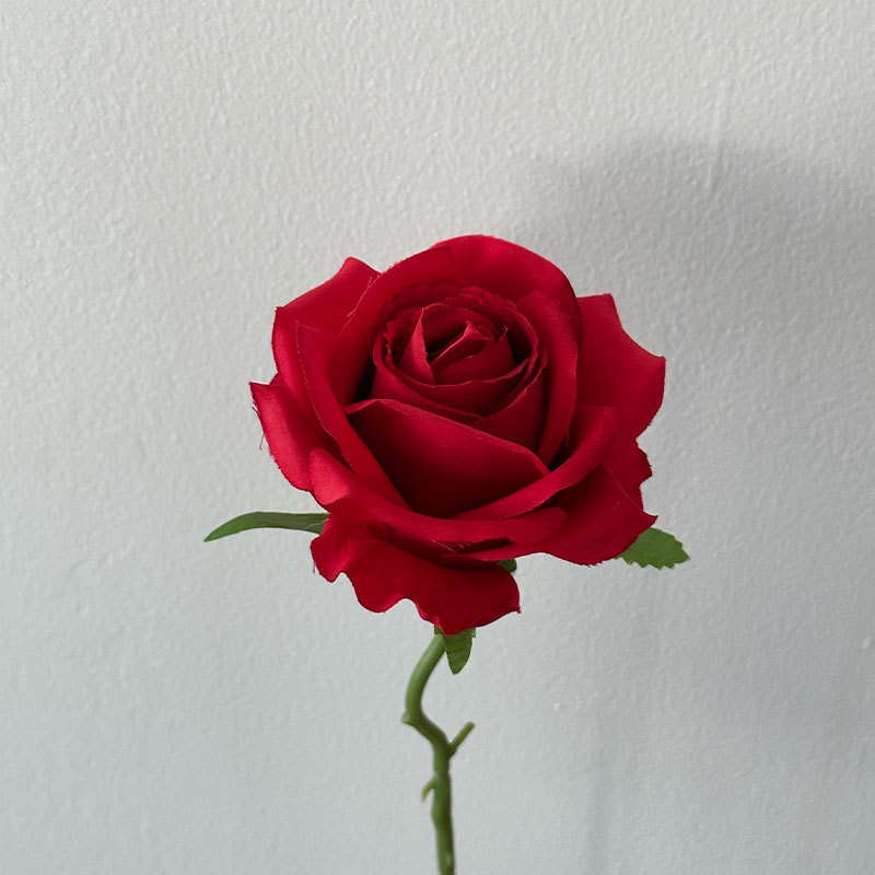 Red anji rose