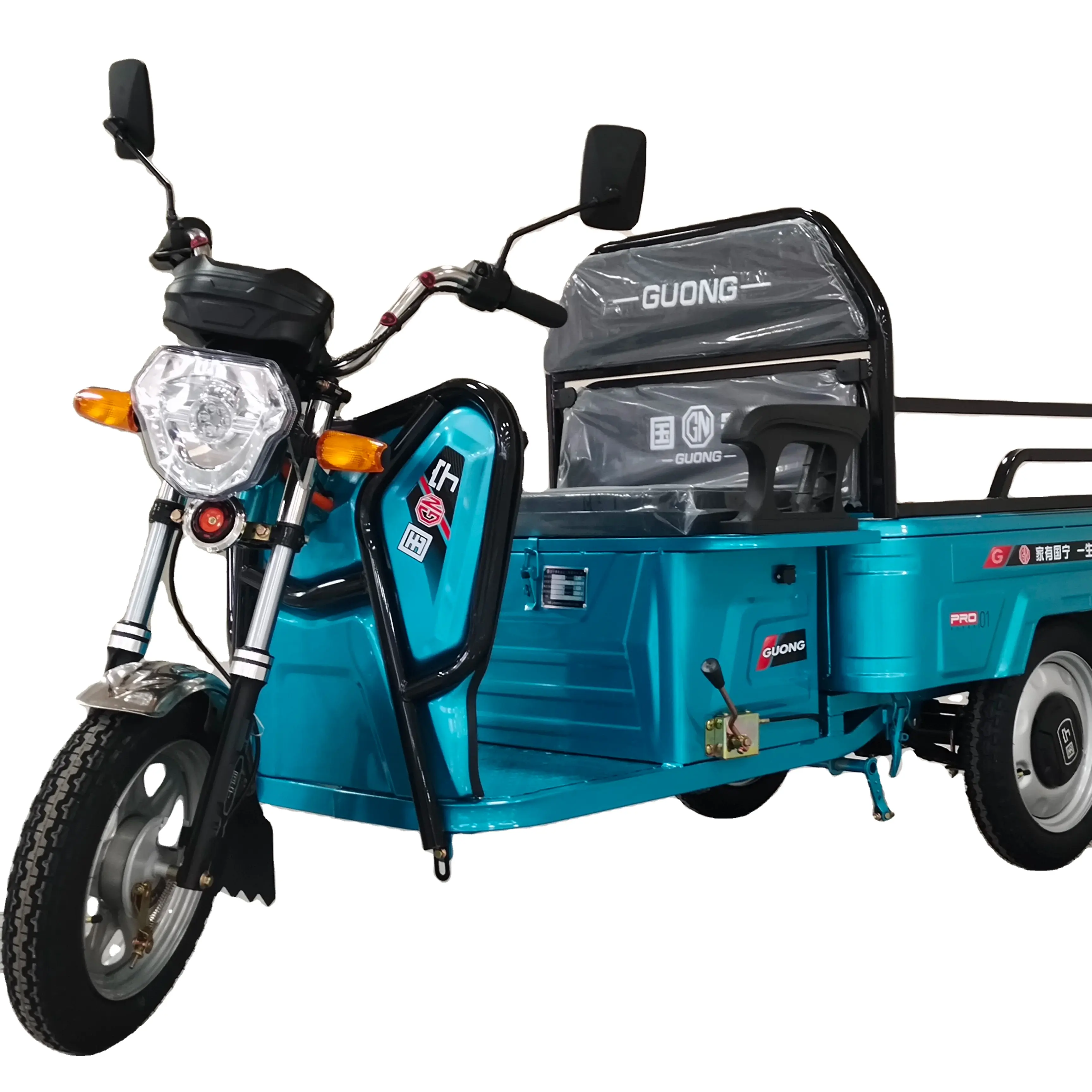 Трехколесный велосипед для 2 взрослых, сельскохозяйственный груз, 160 кг, грузовой мотоцикл, грузовой электрический скутер, высокое качество, используется для груза