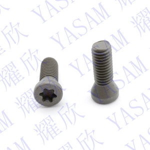 SCODAK SB-4090TRPS <span class=keywords><strong>M4X10</strong></span> עבור פנים כרסום קאטר torx טחינה להוסיף כלי בורג - Product Image 4
